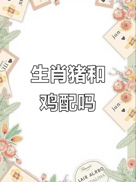 猪男鸡女属相婚配好吗_猪男鸡女婚姻能长久吗