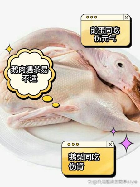 梦到吃鹅是什么意思_梦见吃鹅肉好不好