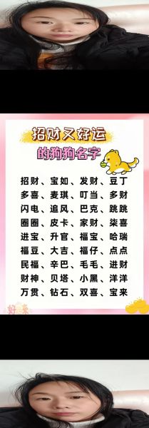 狗狗招财名字有哪些_怎么取最旺家运