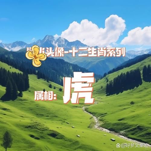 羊年属虎的财运如何_羊年属虎旺财方法