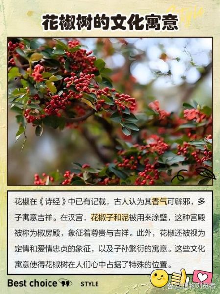 梦到花椒树是什么意思_花椒树梦境解析