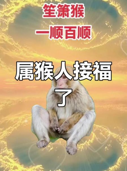 2018属猴运势如何_属猴人2018年财运旺吗