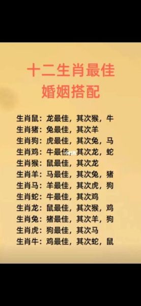 属虎和属马的人合不合_属虎与属马婚姻配对如何