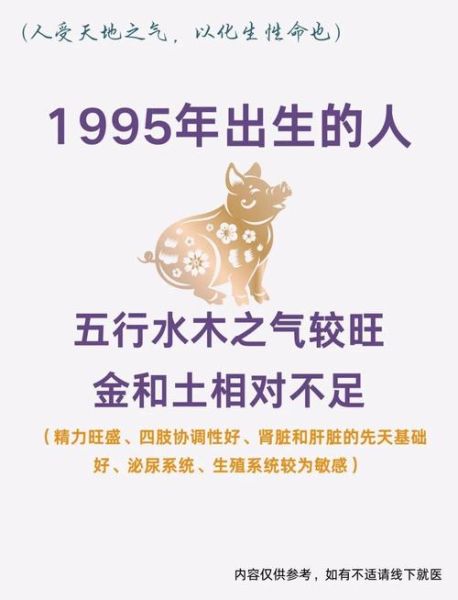 2019年属猪是什么命_2019年属猪五行缺什么