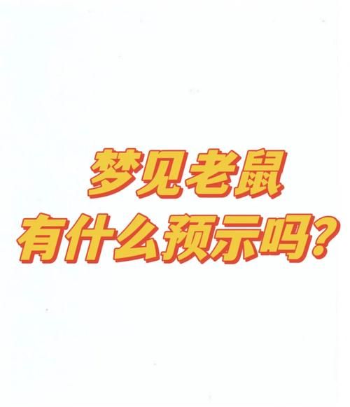 梦到很多小老鼠_周公解梦