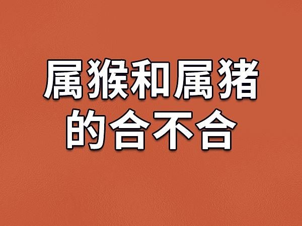 属猴和属猪的婚姻怎么样_属猴与属猪相冲吗