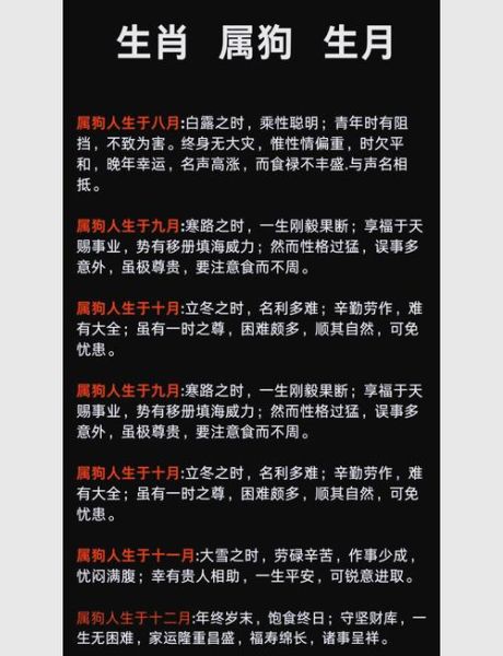 2017年属狗运势详解_属狗人2017年运程如何