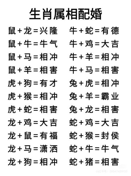 看属相和运势怎么看_看属相配对真的准吗
