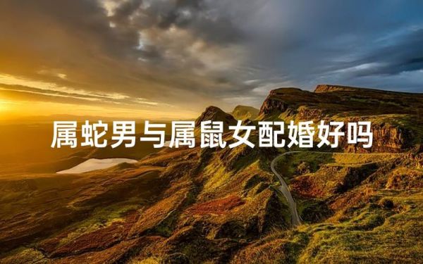属蛇和属鼠的合不合_属蛇和属鼠的婚姻配对