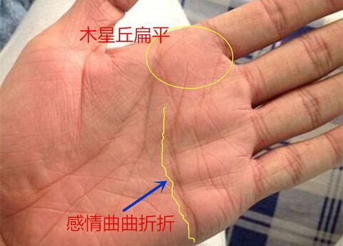木星丘在哪_财运真的旺吗