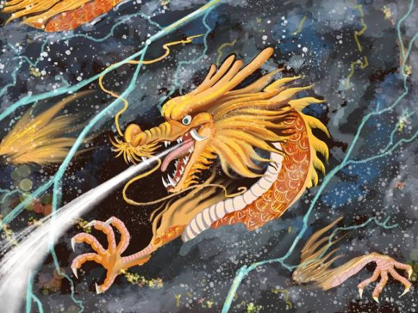 最漂亮属相是什么_为什么属龙最美