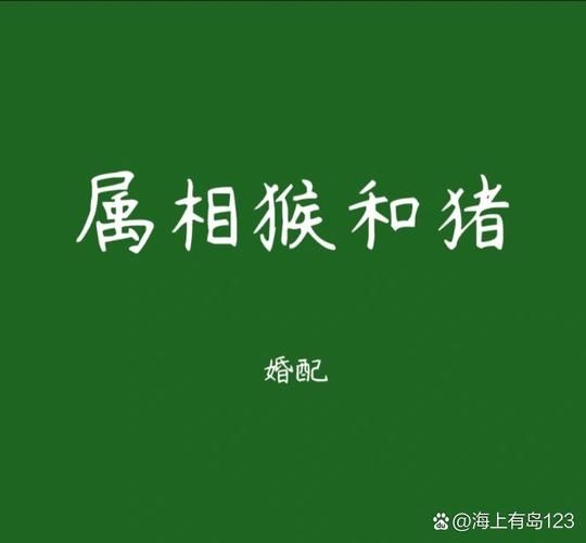 猴和猪属相相配吗_属猴与属猪婚姻合不合