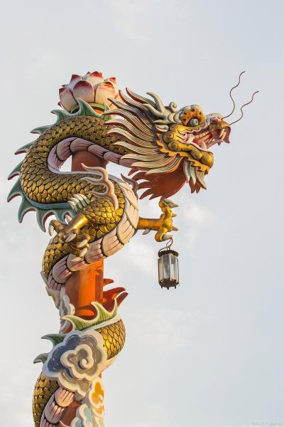 梦到屠龙是什么意思_梦见屠龙预示什么
