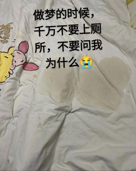 梦到掉进厕所_意味着什么