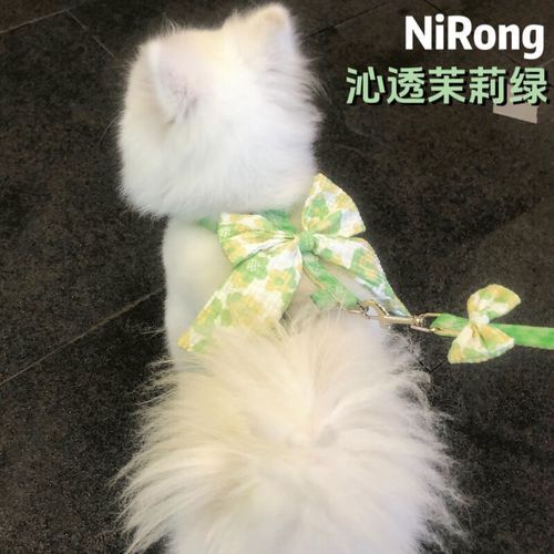梦到猫追我_猫追人梦境含义