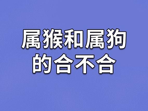 女属猴男属狗婚姻如何_性格合不合