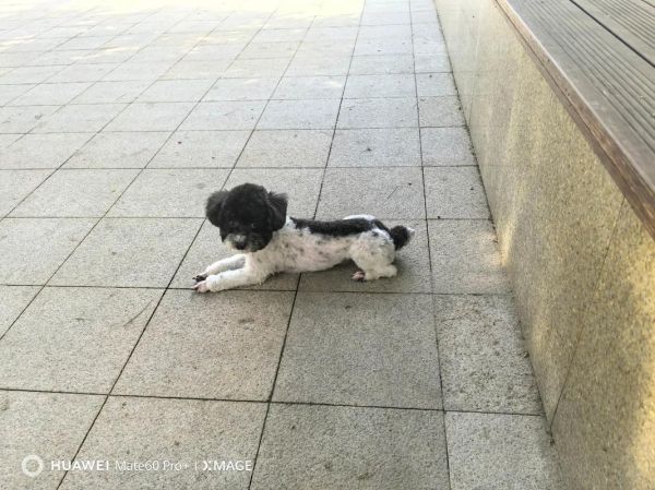 梦到小床是什么意思_梦到小床预示着什么
