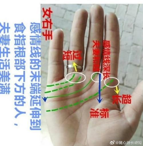 水形掌财运怎么看_水形掌如何招财
