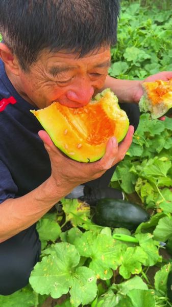 梦到面瓜是什么意思_梦见面瓜预示什么