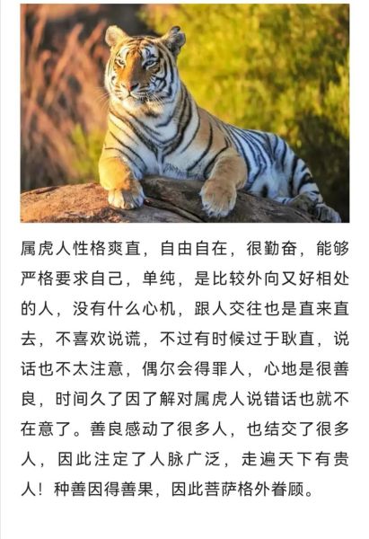 虎同属相_属虎的人性格特点