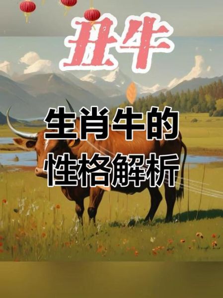 哪个属相感情最专一_属牛人的爱情忠诚度有多高