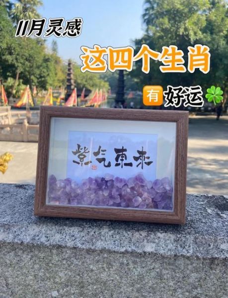 生肖属相算命准吗_生肖运势如何提升