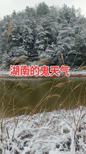 梦到下雨又下雪_意味着什么