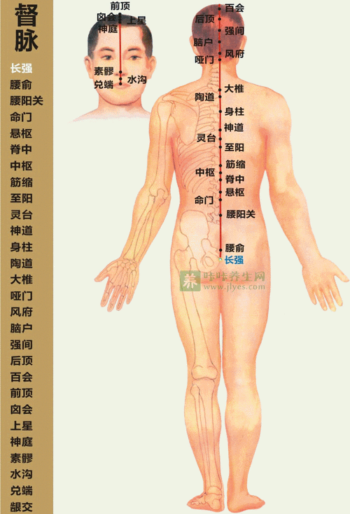 督脉财运_督脉与财富的关系