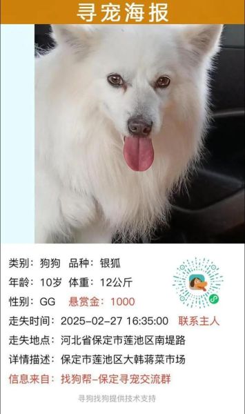 梦到丢失的狗狗找到了_意味着什么
