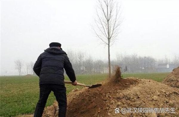 梦到添坟是什么意思_梦到添坟预示什么
