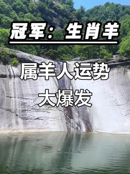 羊年财运如何提升_属羊人2025年财运走势