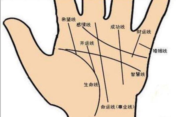 手纹影响财运吗_手相财富线怎么看