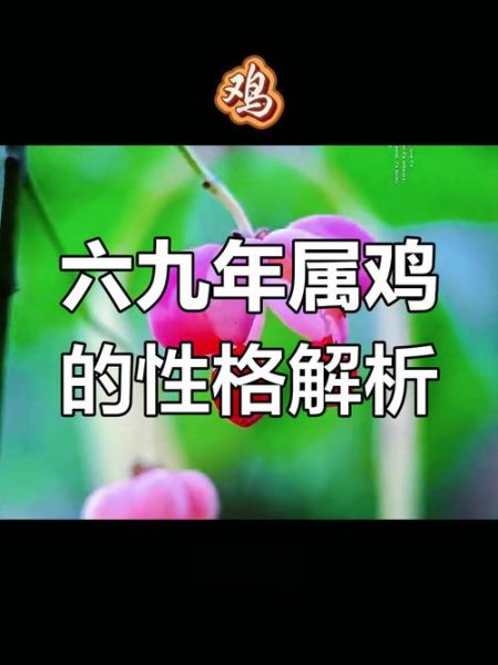 属鸡的人性格特点_属鸡人适合什么职业