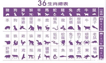 1906年属什么生肖_1906年出生今年多大