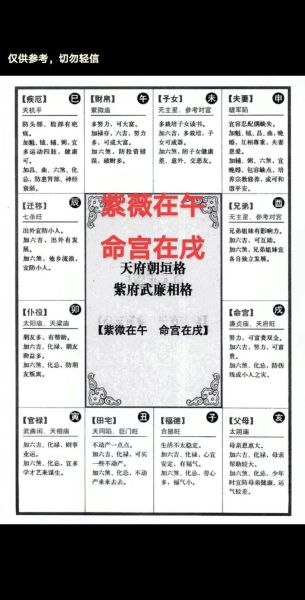 紫薇2016年流年运势_如何趋吉避凶
