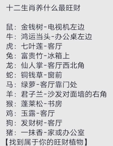 12属相财运如何_哪个属相最招财