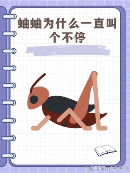 孕妇梦到蛐蛐是什么意思_孕妇梦见蛐蛐生男生女