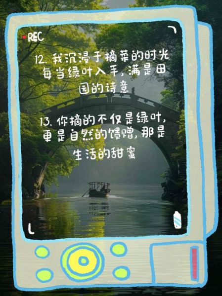 梦到摘菜是什么意思_梦见摘菜预示什么