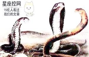 天才属相是什么_哪些生肖最容易出天才