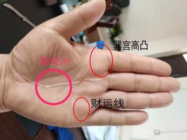 财运在手真是吗_如何验证真假