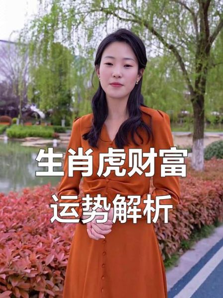 2017年属虎财运如何_属虎人2017年财运提升方法