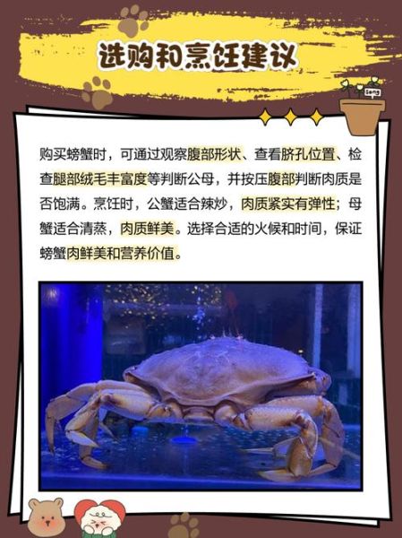 梦到送螃蟹是什么意思_梦见别人送螃蟹给我