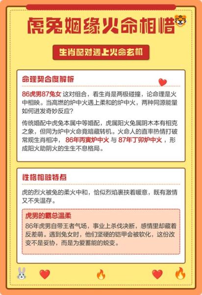 虎兔属相婚配好吗_属虎和属兔的婚姻如何