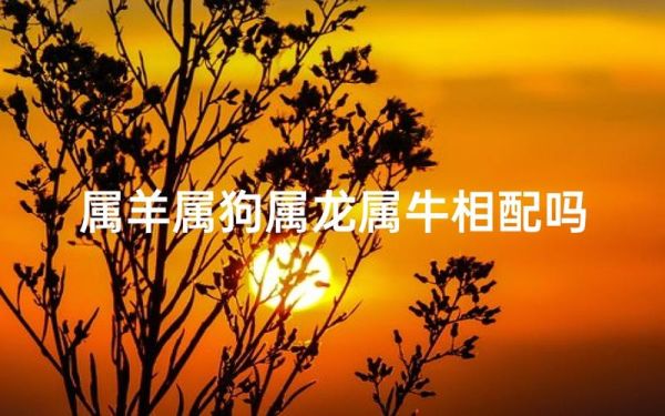狗和羊在一起财运好吗_属狗属羊合财吗