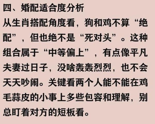 狗和鸡的属相合不合_狗鸡配对婚姻好吗
