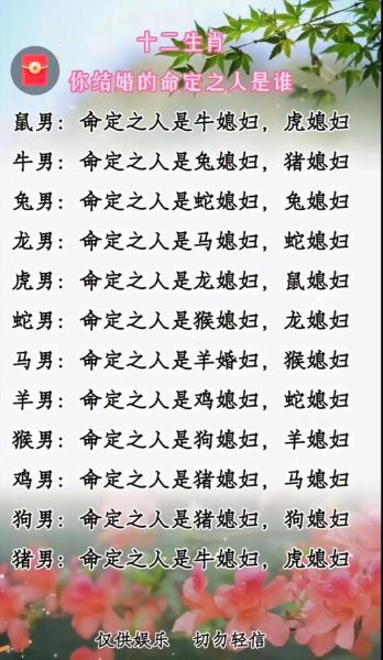 夫妻属相婚配表怎么看_属相不合真的不能结婚吗