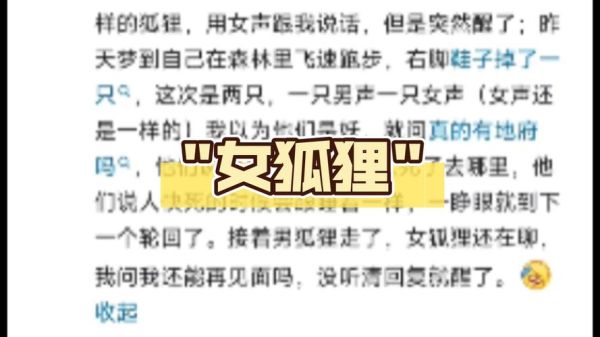 梦到杀狐狸是什么意思_梦见杀狐狸的吉凶预兆