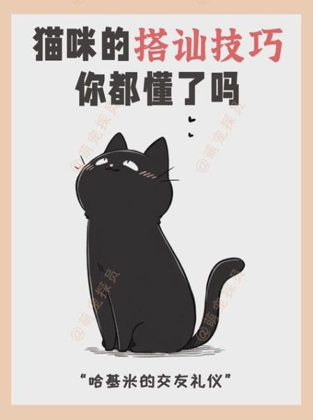 梦到买猫是什么意思_梦见买猫预示什么