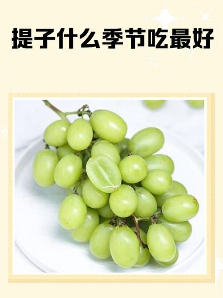 梦到吃提子是什么意思_孕妇梦见吃提子预示什么