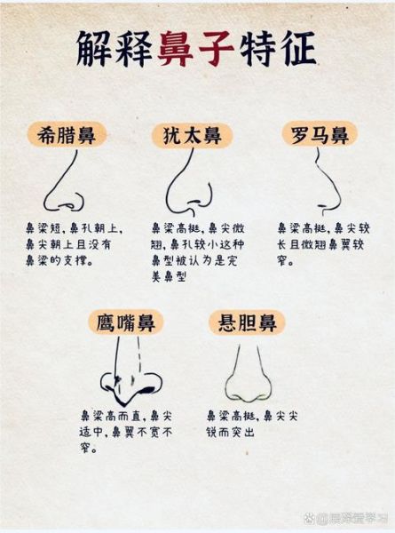 罗马鼻财运_罗马鼻面相真的招财吗